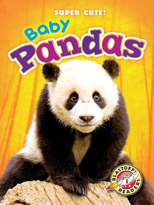 cover image of Baby Pandas